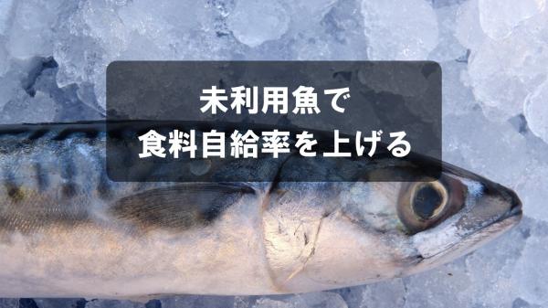 未利用魚で食料自給率を上げる