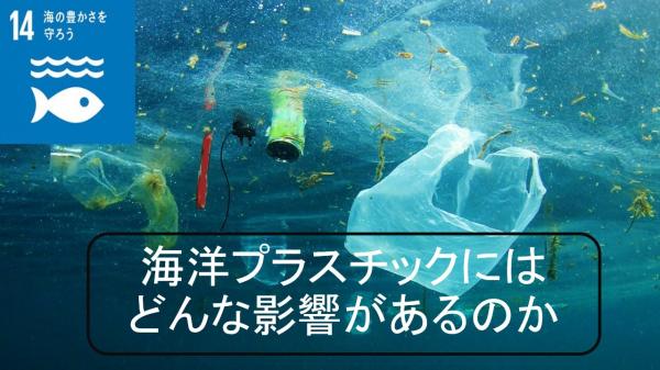 海洋プラスチックにはどんな影響があるのか